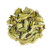 Peppermint Loose Leaf Tisane Tea