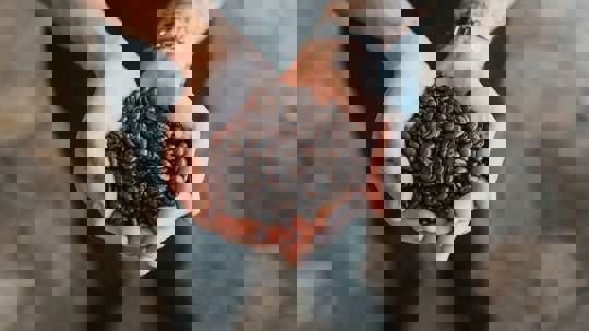 Commercial Espresso Coffee Beans