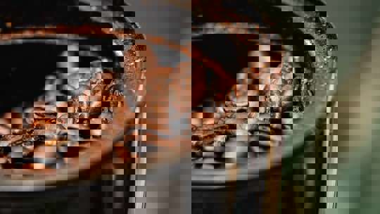 Commercial Espresso Coffee Beans