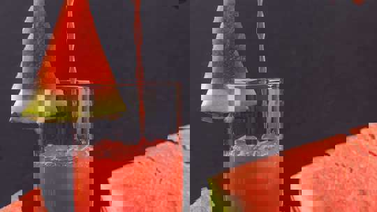 darjeeling watermelon tea