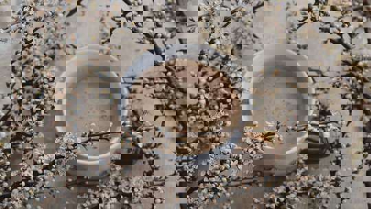 Pexels Ioana Motoc 7810110 (1)