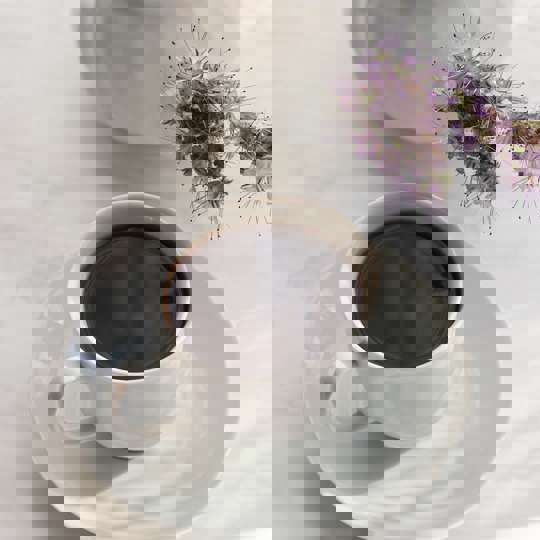 Pexels Beyza Efe 8340102 (1)