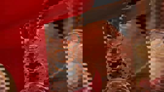 Pexels Adrian Agpasa 10888708 (1)