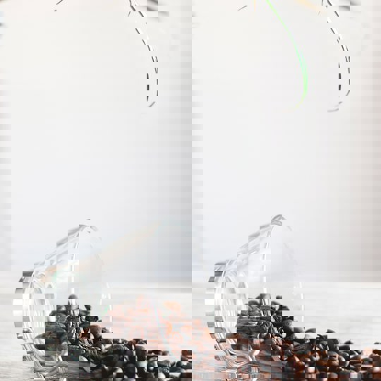 Pexels Dominika Roseclay 977878